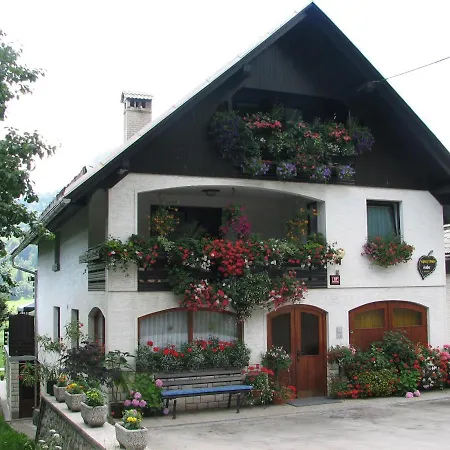 2 & Cvetek * Bohinj
