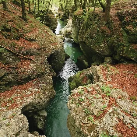 Privat bolig 2 & Cvetek Bohinj