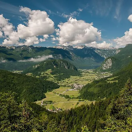 2 & Cvetek Privat bolig *