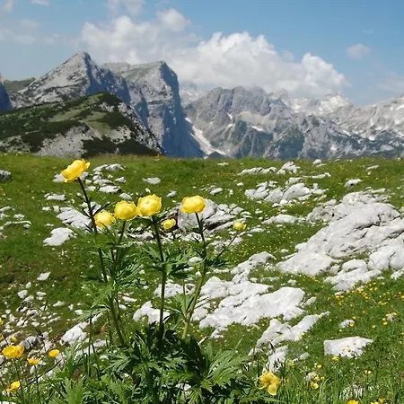 Homestay 2 & Cvetek Bohinj