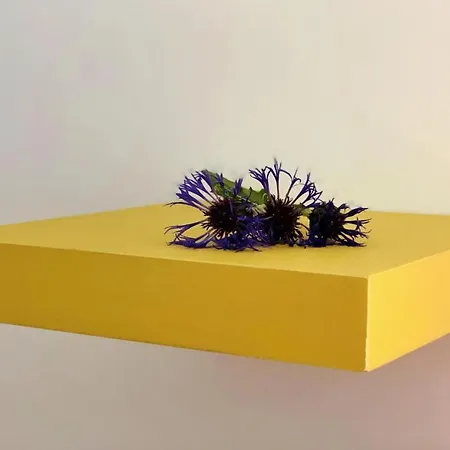 Privat bolig 2 & Cvetek *