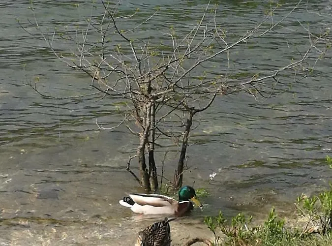 Pansiyon 2 & Cvetek Bohinj