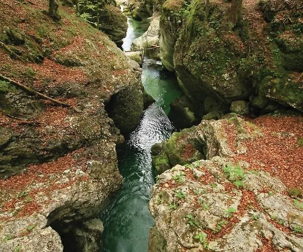 Pansiyon 2 & Cvetek Bohinj