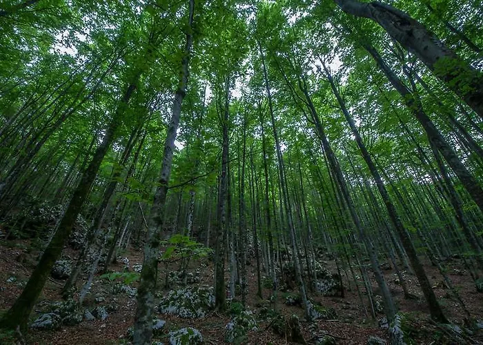 2 & Cvetek Pansiyon *