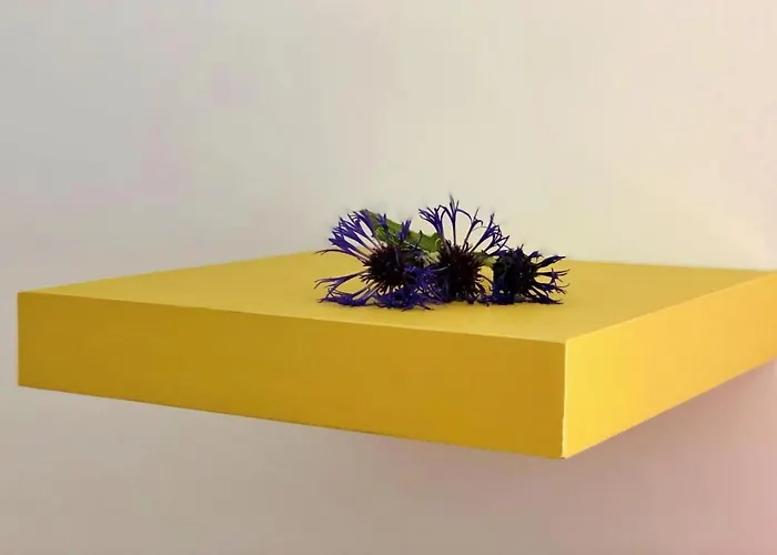 Pansiyon 2 & Cvetek *